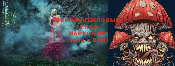 индика Наволоки
