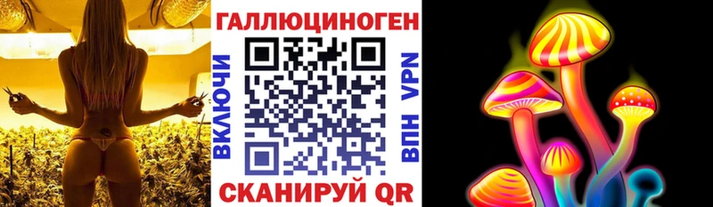 Псилоцибиновые грибы GOLDEN TEACHER  как найти закладки  Туран 